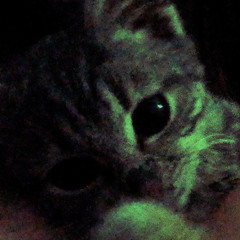 zai - emotionally dependent (slowed + reverb)