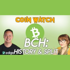 BCH: history, and recent split