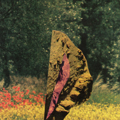 Gedanken der Mückenlarven in der Regentonne bei Vollmond