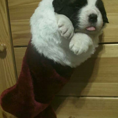 6killed zanxoxo push up @spazzaht