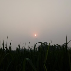 Chader Sathe by Jafor_Iqbal___Anju_Ashirbad_Romantic_Song