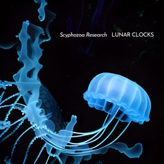 Lunar Clocks - Scyphozoa Research