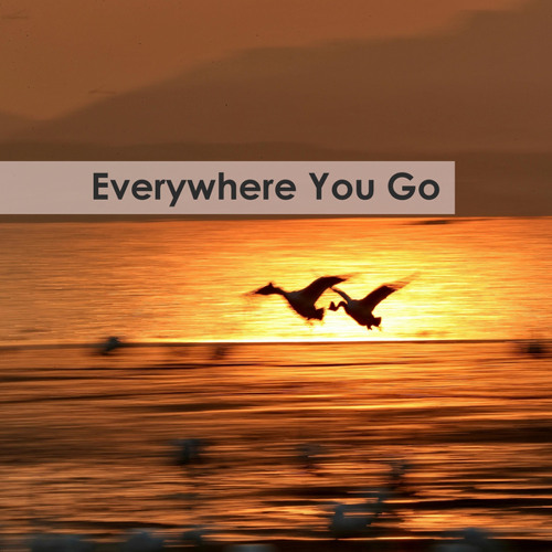 Everywhere You Go