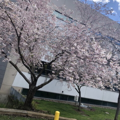 Smoke it off - Audio edit