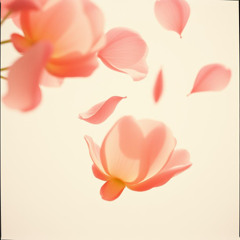 Echo Bloom (에코 블룸) by #AKB