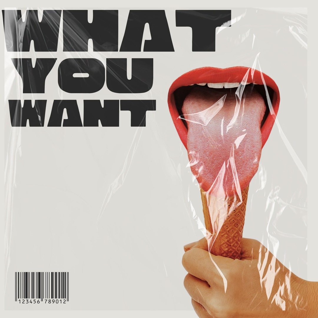 Stream What You Want by Wigglez | Listen online for free on SoundCloud
