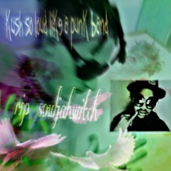 PUNK BLUNT$ RMX [rip souljah witch]