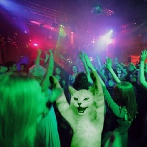 d3r - PRIVATE PARTY (feat. wujek)