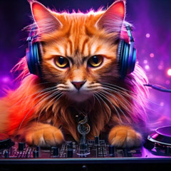 El HardTechno ponen a los gatos en Trance - AFTERHARD WARM UP SET 08/03
