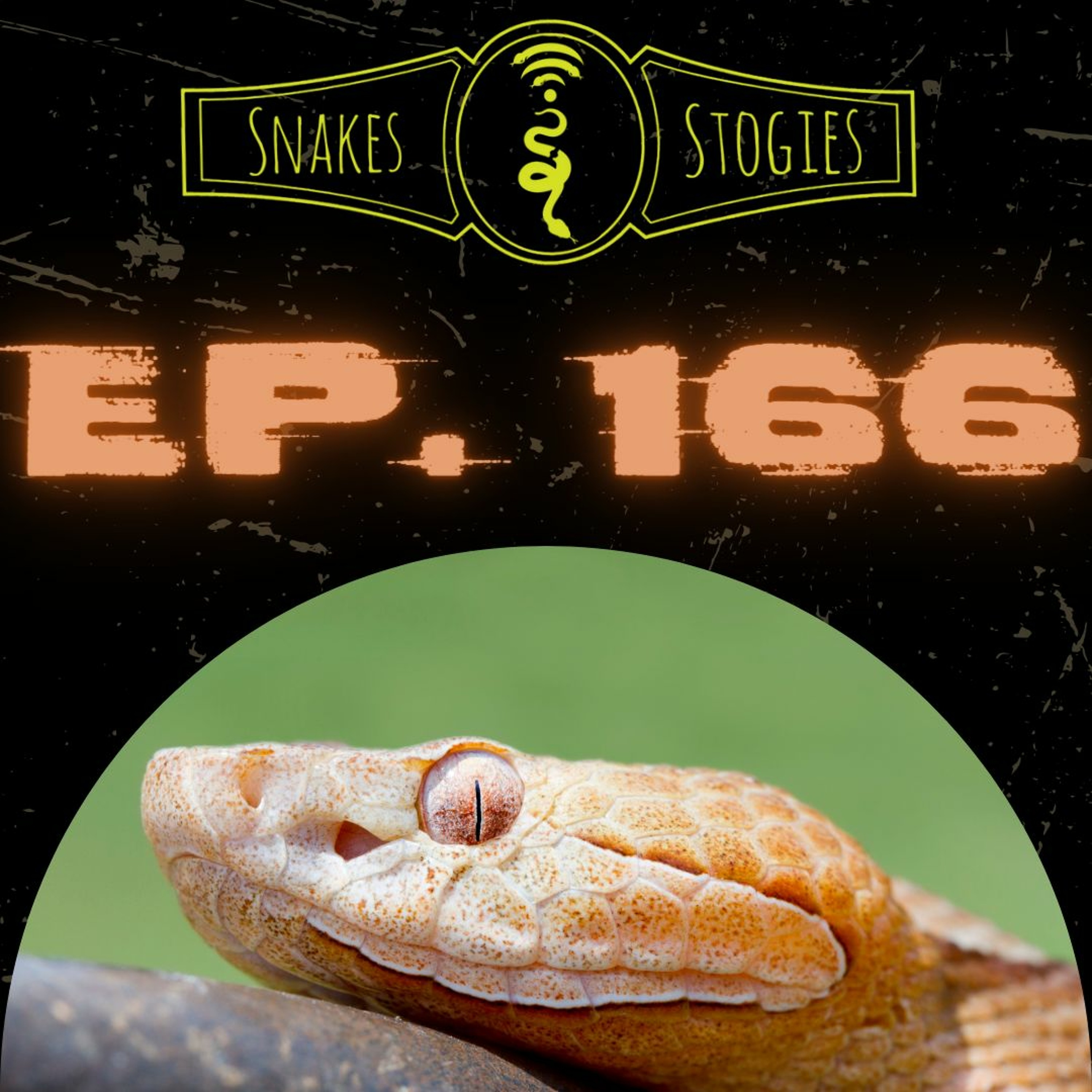 Matt Palmer of Herp Talk Radio| Snakes & Stogies Ep. 166