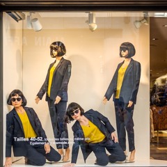 Les Vitrines - Fragments