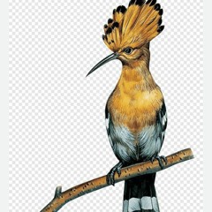 وتفقد الطير فقال مالي لا اري الهدهد تلاوة رائعة الشيخ محمد محمود الطبلاوي(MP3_160K).mp3