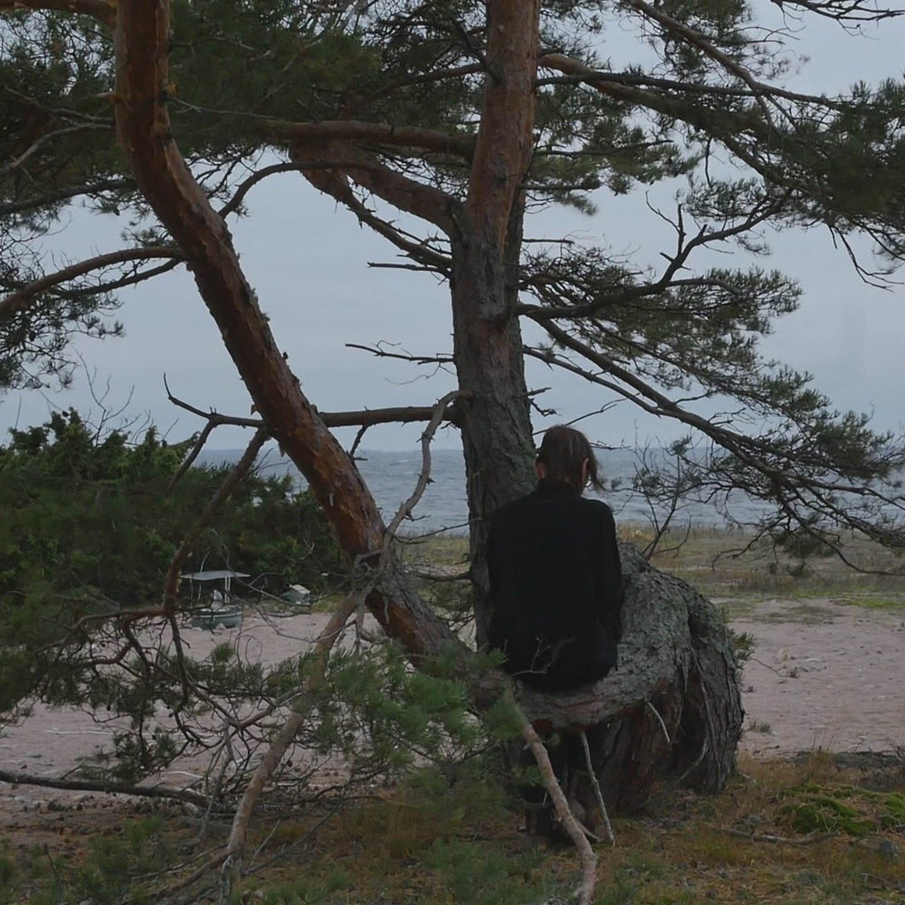 Talar med träd - 6 episode artwork
