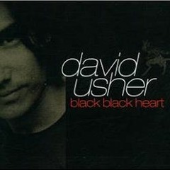 David Usher Black Black Heart Dnb Remix