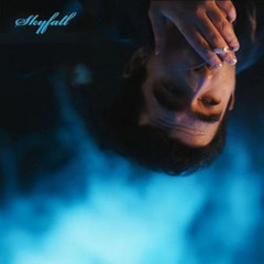 Skyfall Daniel Javan SHYDE Yeah i watch the sky fall And think bout the times we had When you were h
