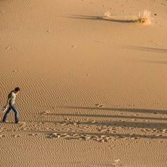 Sultan of the Desert