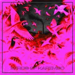 BIRDS OF KARIMBO