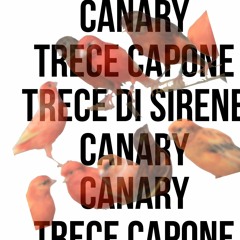 Canary-Trece Capone(Prod. DEV THE GREAT)