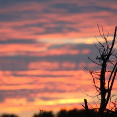 Dusk