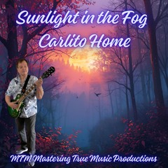 Sunlight in the Fog