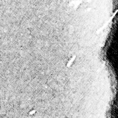 visions of pain particles [domestic violence]