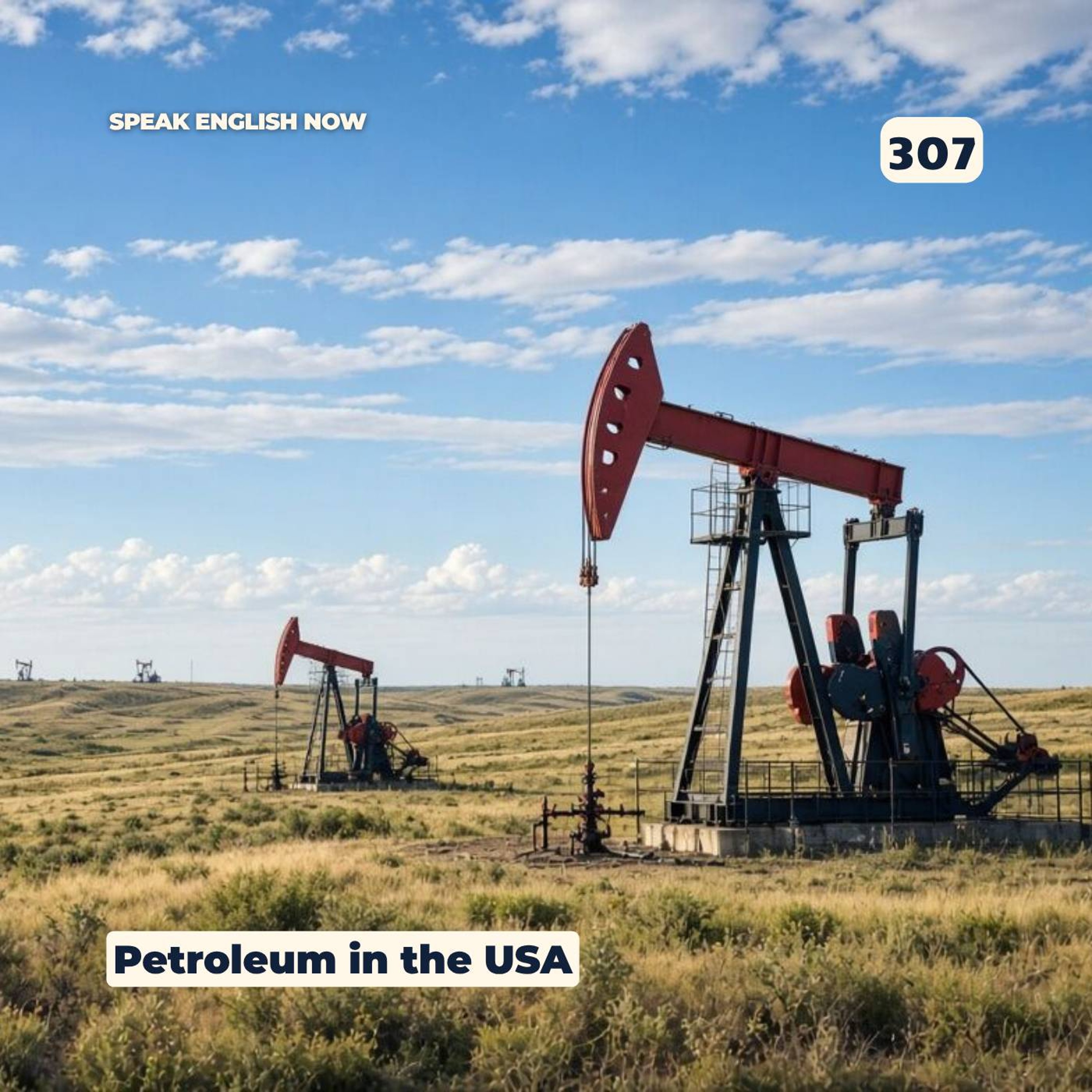 #307 Petroleum in the USA episode artwork
