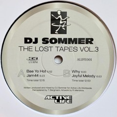 DJ SOMMER - BAE YO HOT - ALIFE001