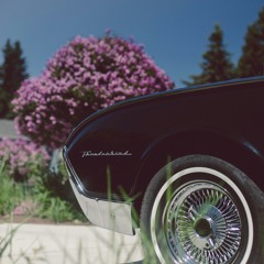 Drake - Too Much ( Max Madou's Down To Earth Version)