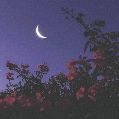 STUCK ON THE MOON🌙