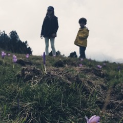 La tendresse (Bourvil & Noël Roux reprisés)