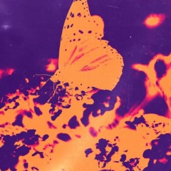 Deep & Dreamy; Progressive & Uplifting