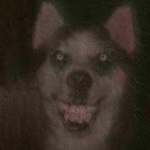 notlieu - maybe i'll feel better next year