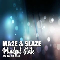 Mindful State (with Slaze)