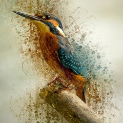 The Kingfisher mixed by The Lahar