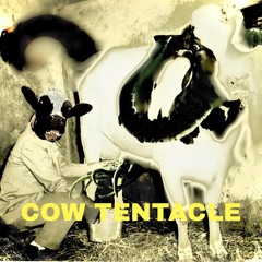 Cocky want boing boing