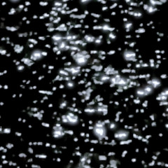 残暑(demo)