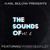Artwork for The Sounds Of Vol.6 Ft Malzy, Webby & Karl Bulow (REUPLOAD FROM 8TH MAY 2020)