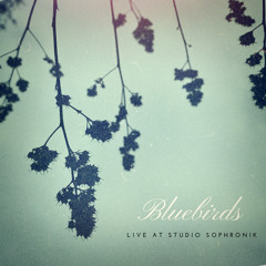 Bluebirds (Live at Studio Sophronik)