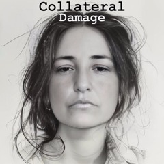 Collateral Damage ~Robin Kirby