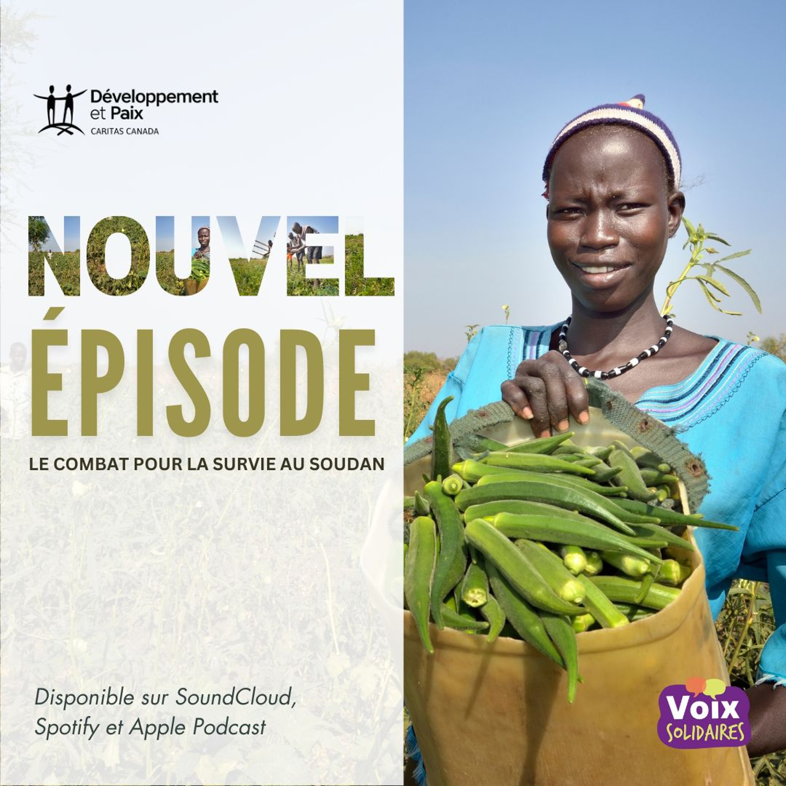 Développement et Paix