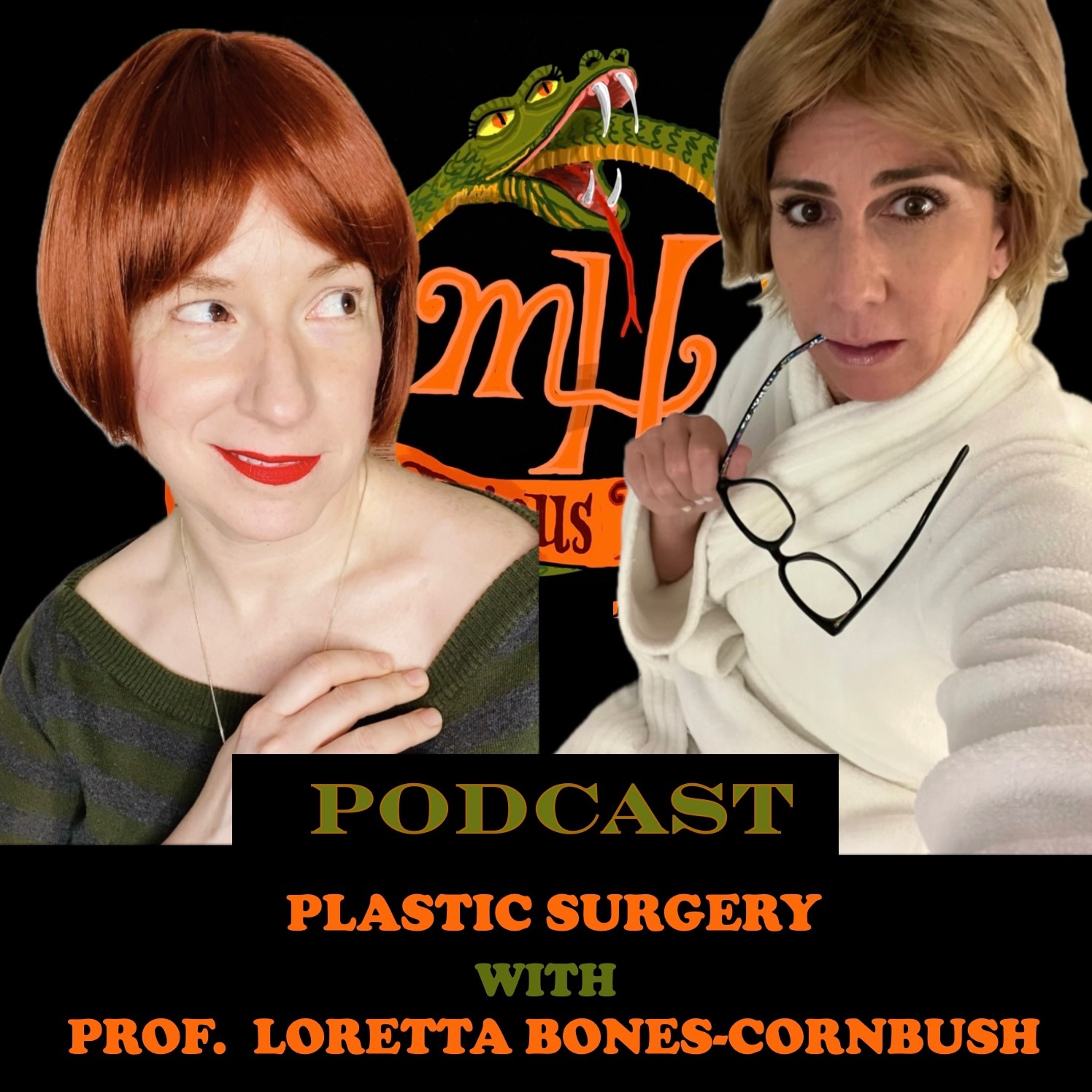 Episode 4 - Mysterious Historian Podcast - Plastic Surgery