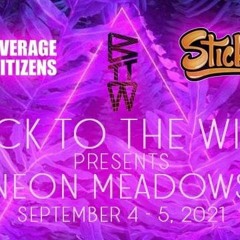 Momentum Live  @ Neon Meadows September 2021