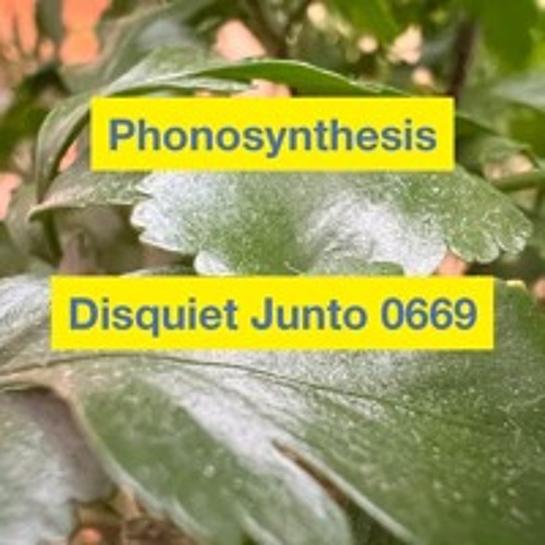 Speak to the trees_disquiet0669