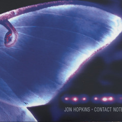 Luna Moth