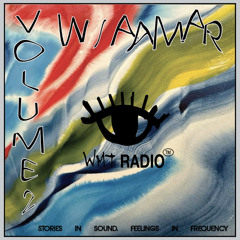 WMT RADIO VOL. 2 W/AAMAR