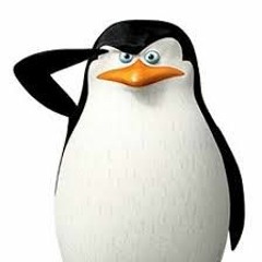 I'M GONNA SAY THE N WORD