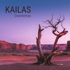 Sounds of PACE ID | Podcast #6| Kailas