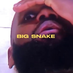 BIG SNAKE