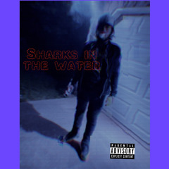 Mystic Dris - Sharks In The Water