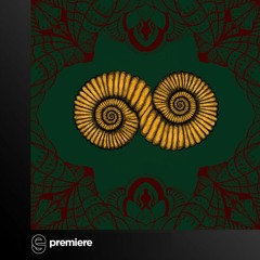 Premiere: Skydrips - Nordfledermaus (Original Mix) - Herz&Leber